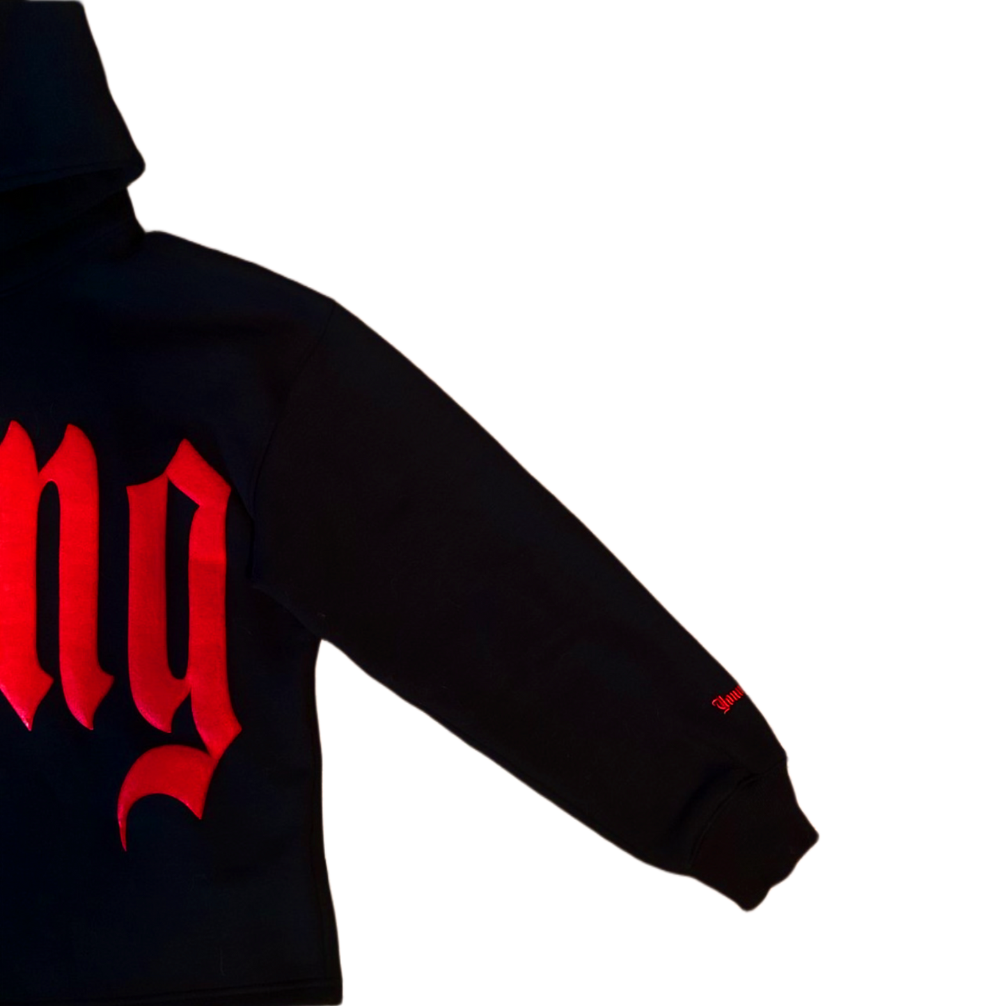RUBY YOUNG GIFTED cropped hoodie | YNG